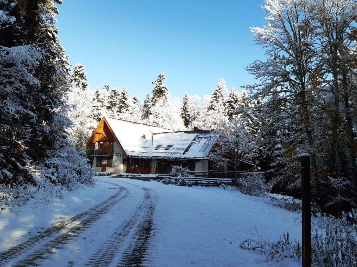 Auberge Refuge De Roybon Saint-Martin-en-Vercors エクステリア 写真