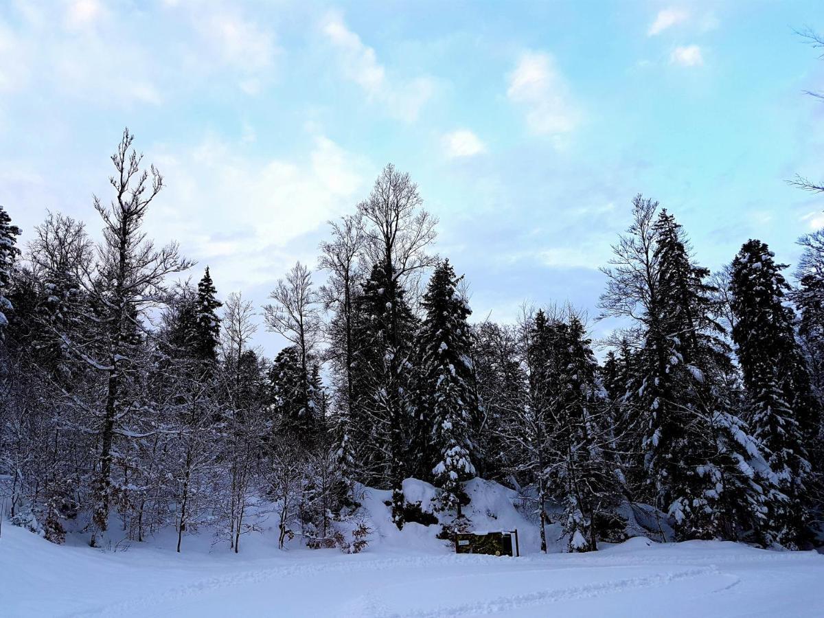 Auberge Refuge De Roybon Saint-Martin-en-Vercors エクステリア 写真